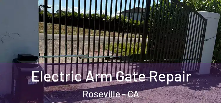 Electric Arm Gate Repair Roseville - CA