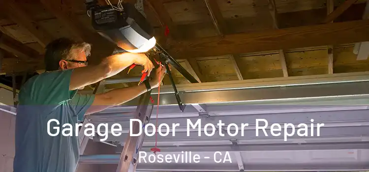  Garage Door Motor Repair Roseville - CA