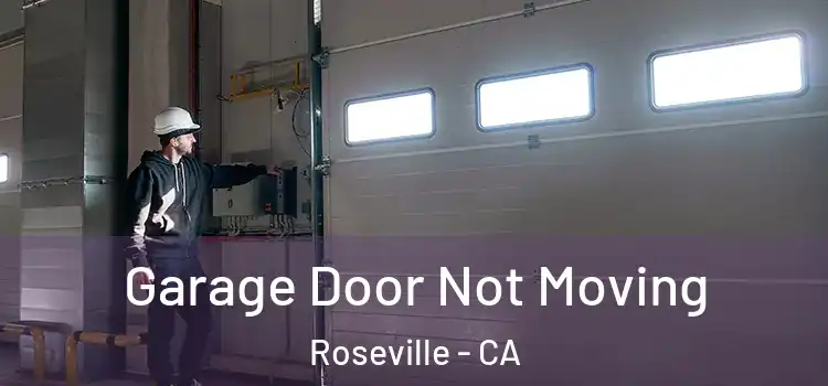  Garage Door Not Moving Roseville - CA