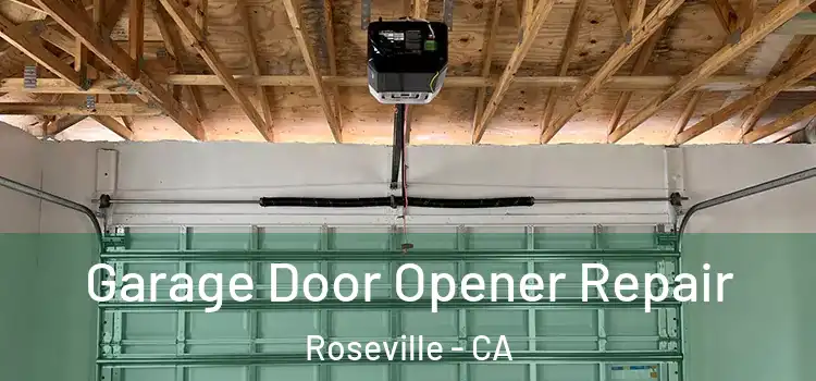  Garage Door Opener Repair Roseville - CA