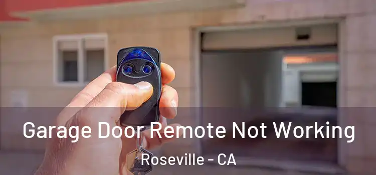  Garage Door Remote Not Working Roseville - CA