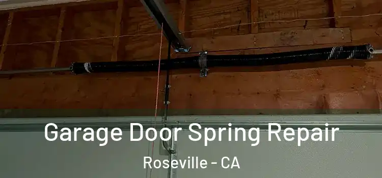  Garage Door Spring Repair Roseville - CA