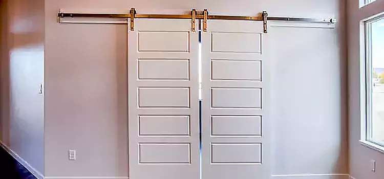 Glass Barn Door with Installation Hardware Kit Roseville
