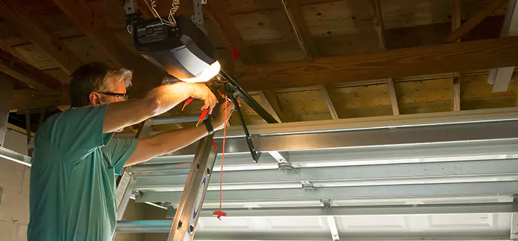 Garage Door Opener Sales and Installation Roseville