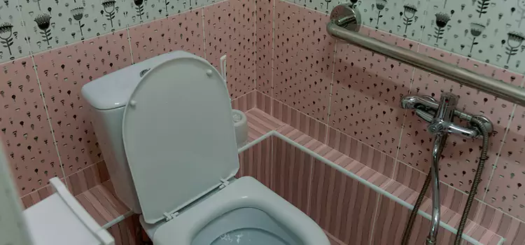 Meeting Diverse Needs With Accessible Restroom Solutions in Roseville, CA