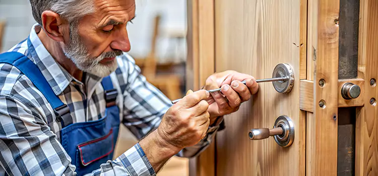 Mortise Replacement Lock Roseville