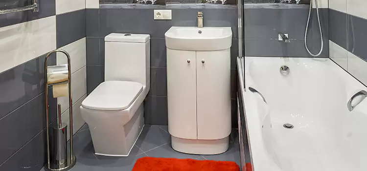 Hansgrohe Shaving Mirror Roseville