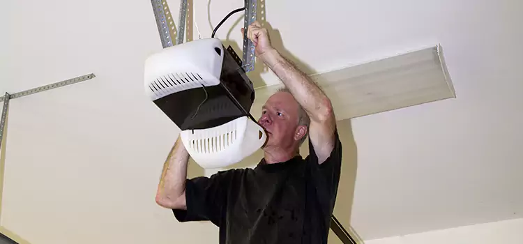 Garage Door Opener Service Roseville