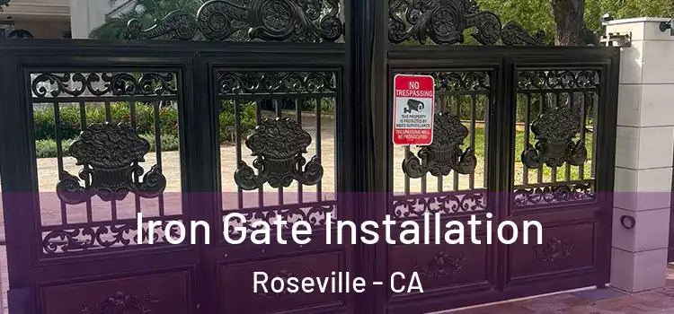  Iron Gate Installation Roseville - CA