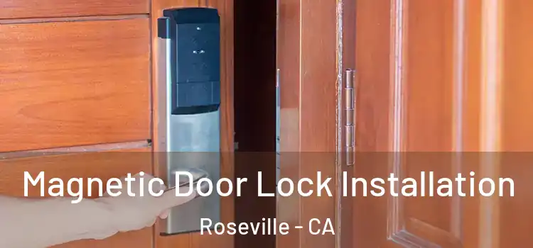  Magnetic Door Lock Installation Roseville - CA