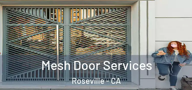 Mesh Door Services Roseville - CA