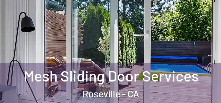  Mesh Sliding Door Services Roseville - CA