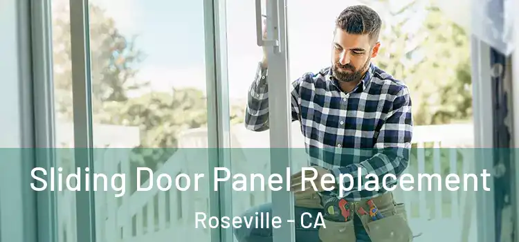  Sliding Door Panel Replacement Roseville - CA